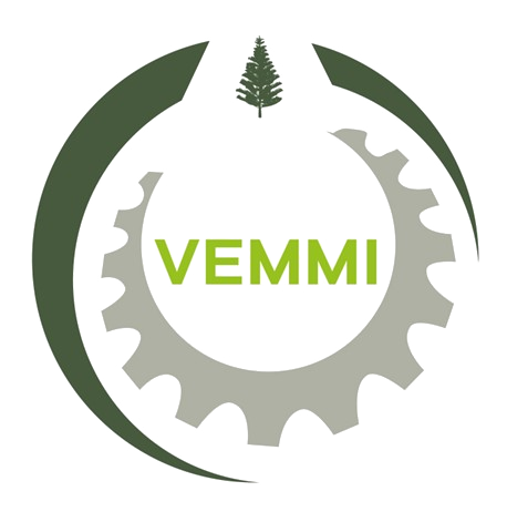 Logo VEMMI